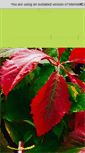 Mobile Screenshot of naturviana.com